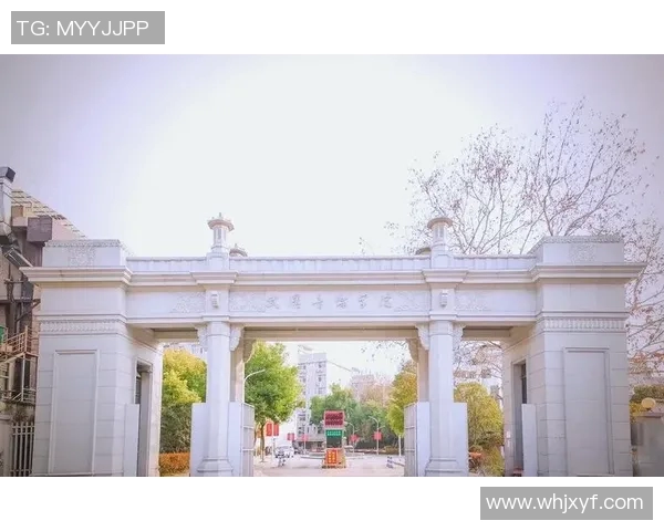 武汉音乐学院：音乐教育的摇篮与文化传承的先锋基地