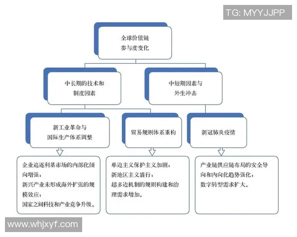 疫情冲击下全球社会经济复苏路径与公共卫生应对策略的深度探讨